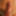 Oil and tiny white panties video stills #15