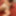 Lily Leigh&#039;s Intimate Playtime #2 (Part 2) #16