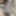 My penis with glans moving foreskin back