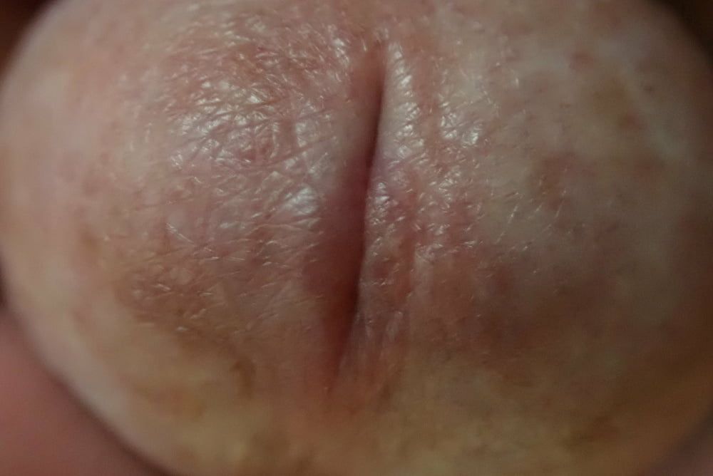 close up penis #7