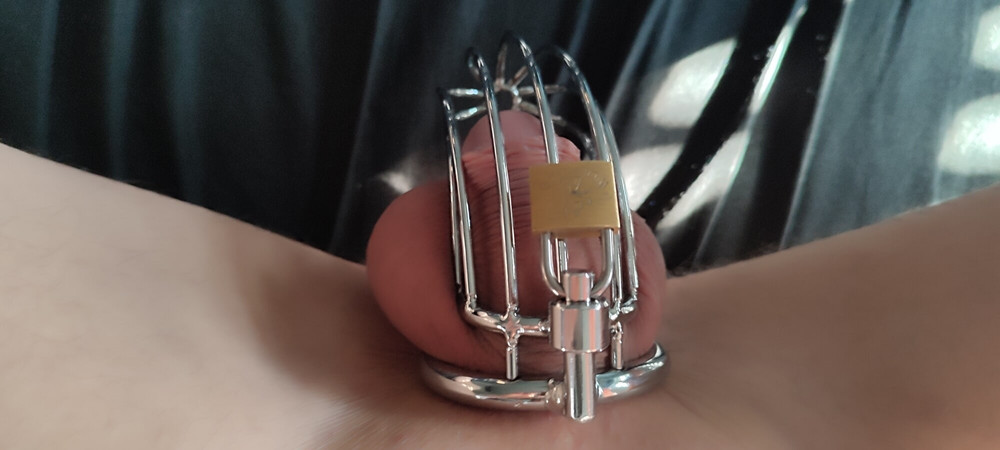 Mein eingesperrter Minipimmel #5