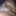 Cum Shooter Anthony's nude collection