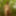 Ich Outdoor