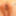 In the bathroom the sexy blonde enjoys her asshole with huge #51