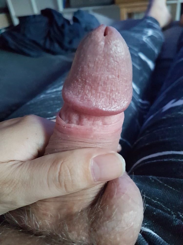 Cock #4