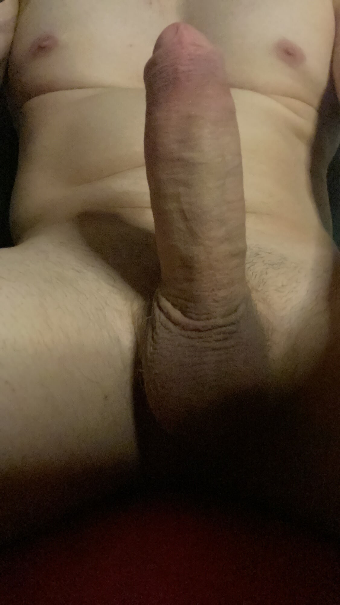 Mi Dick 