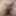 Nudes Album 🍆