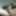 Cum