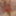 Big View of Vagina and Blowjob Ny Mature Whore Wife
