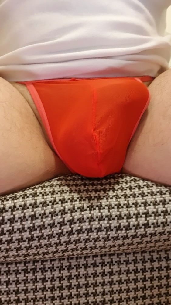 Red sheer mesh panties bulge #3