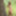 Cute brunette Maxa posing nude in the forest #9