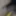 young man masturbation in bedroom 