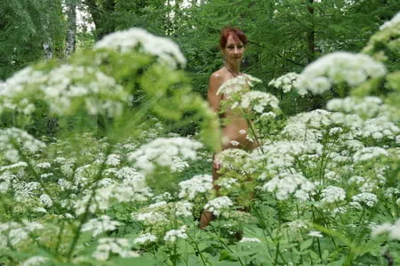 in white flowers           