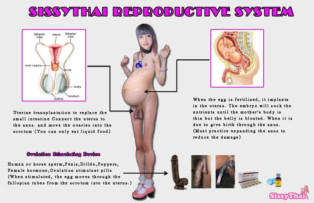 Sissythai Reproductive System. (Part1)