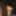 Our blowjob gifs