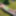 Mommy&amp;amp;#039;s Re-purposed Used Dildos.  Hugh-Titted Garden Walk #9