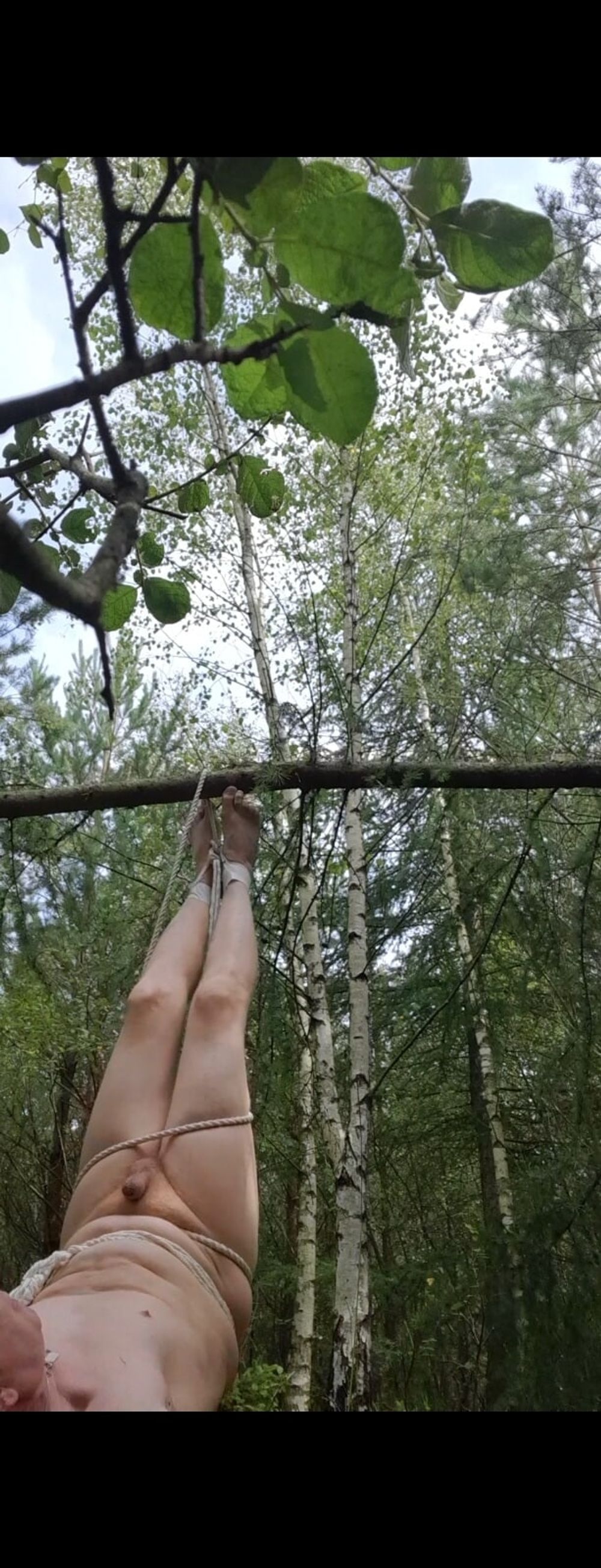 naked in the wood #26