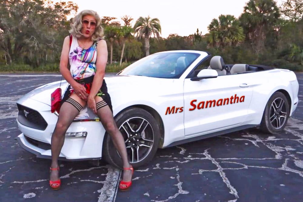 Samanthas Mustang Memories #4