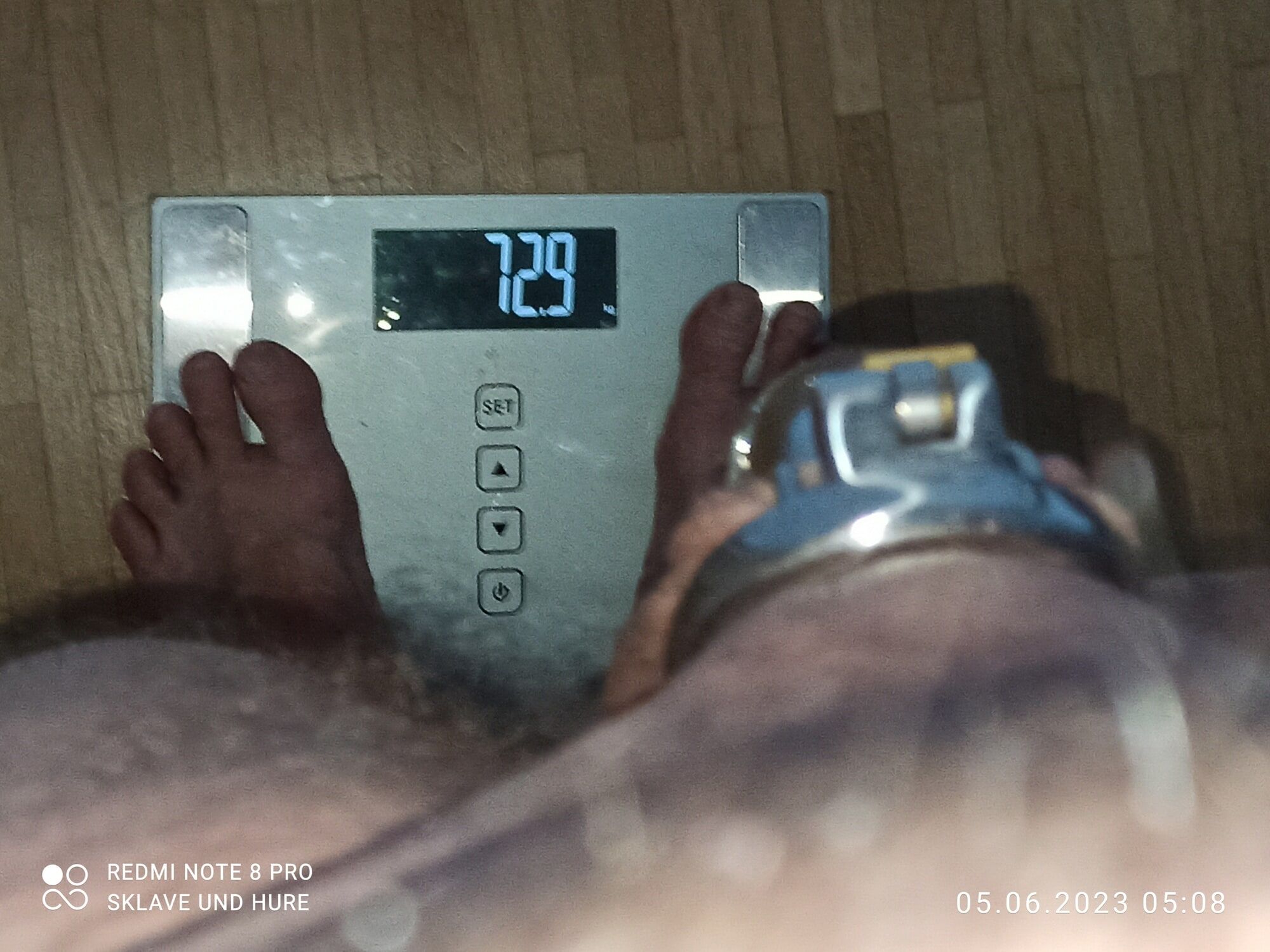 weighing, cagecheck, plugcheck,  05.06.2023 #17