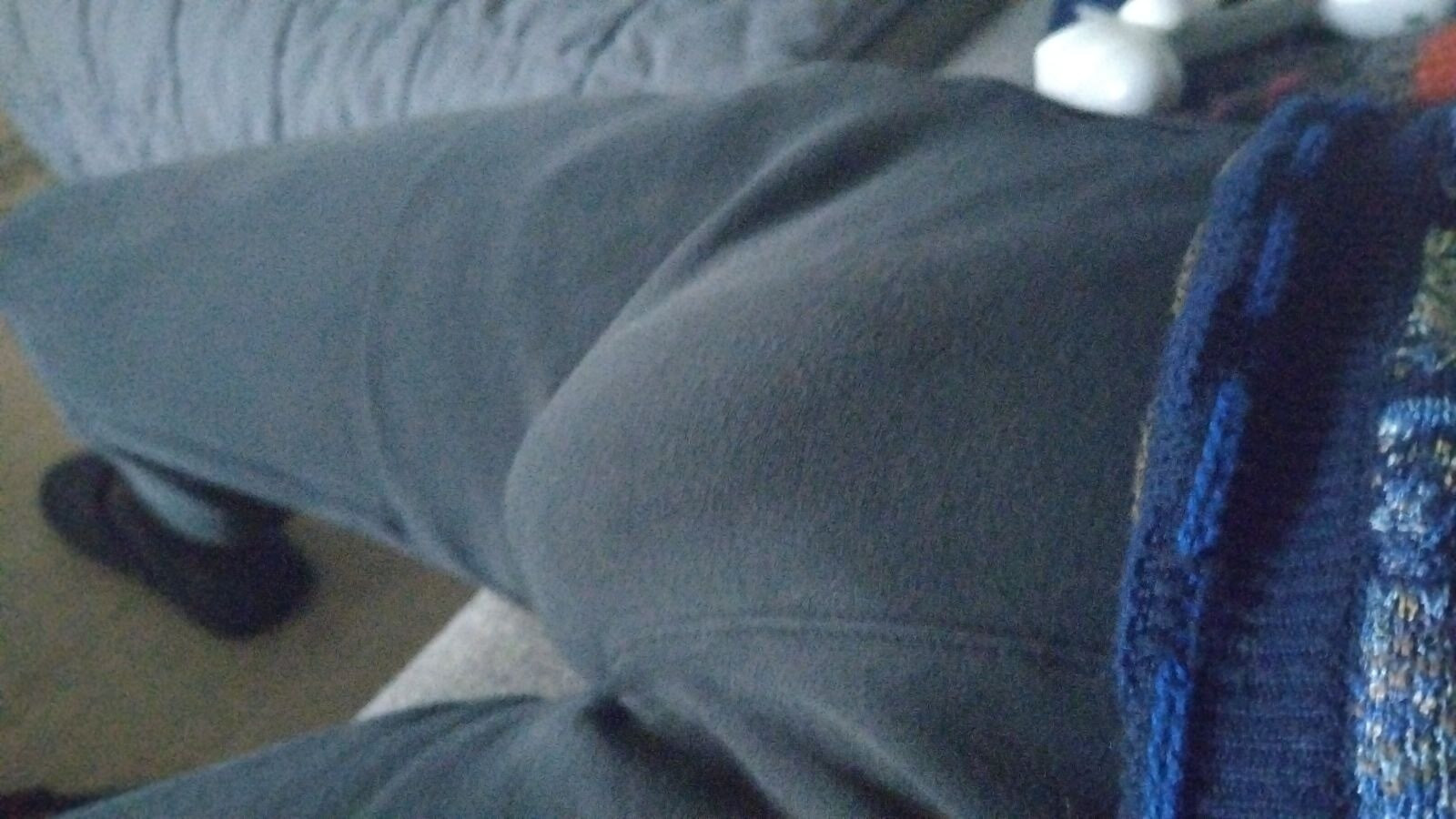 ディックの写真