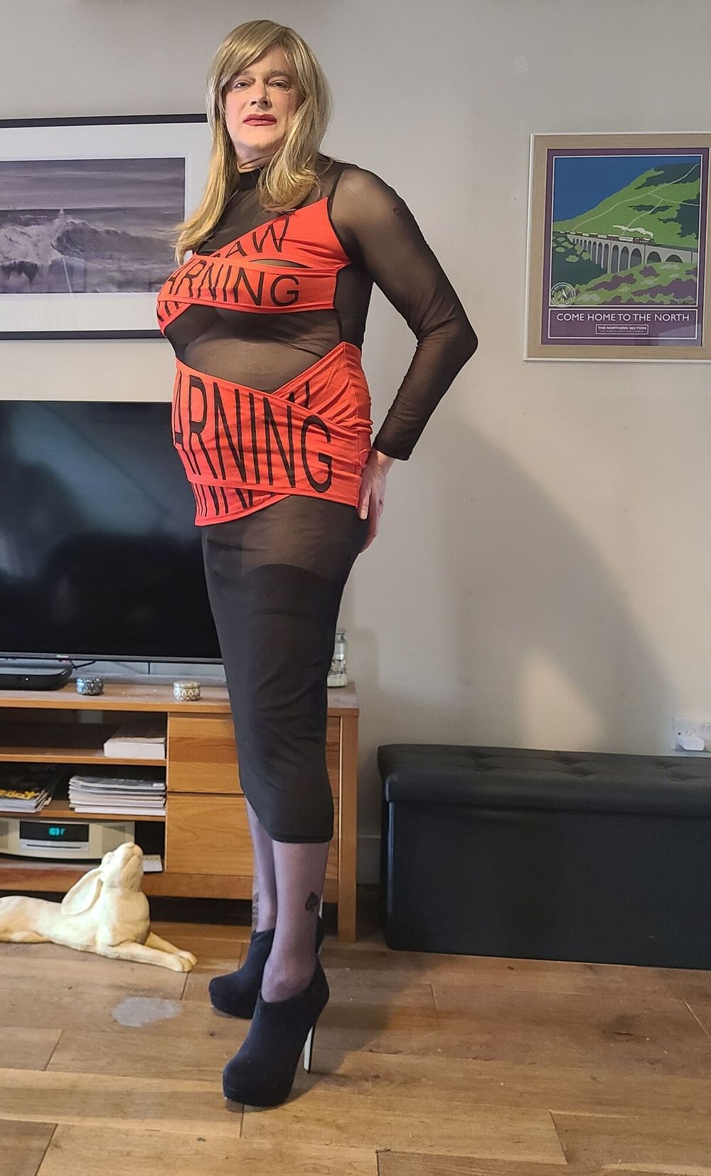 Sissy in warning dress #9