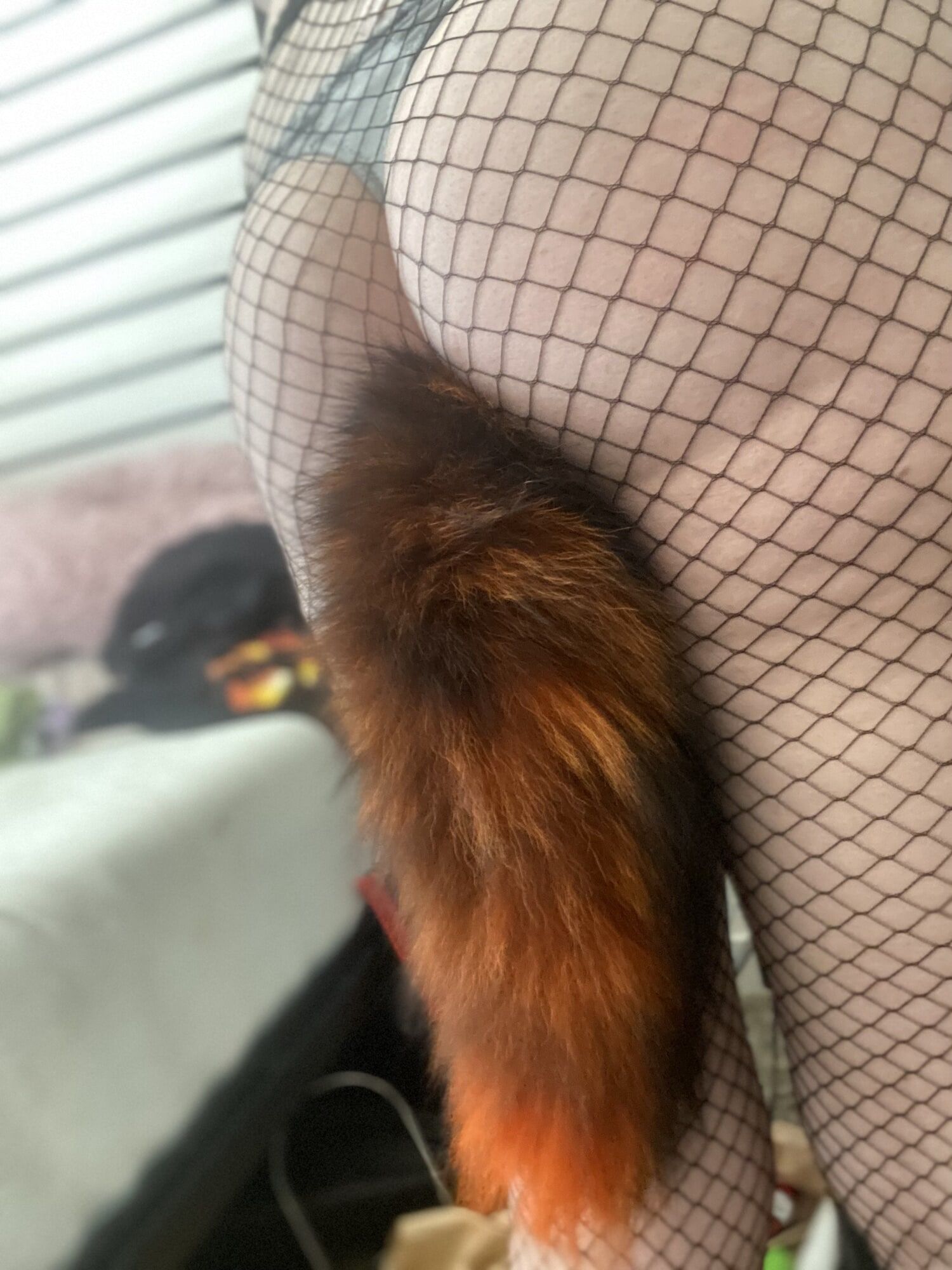 Little fox girl and her tail #2
