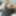 12.24.20 update