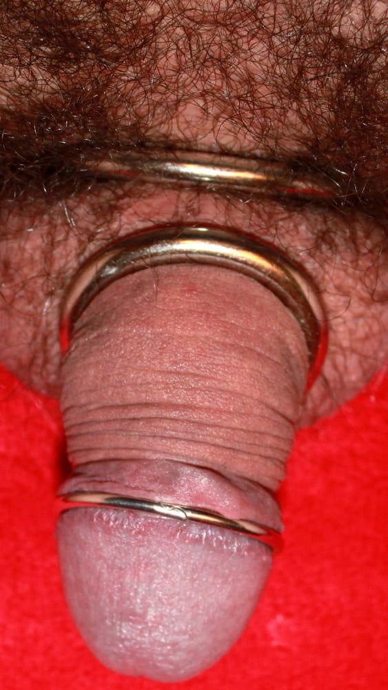 Cock ring #31