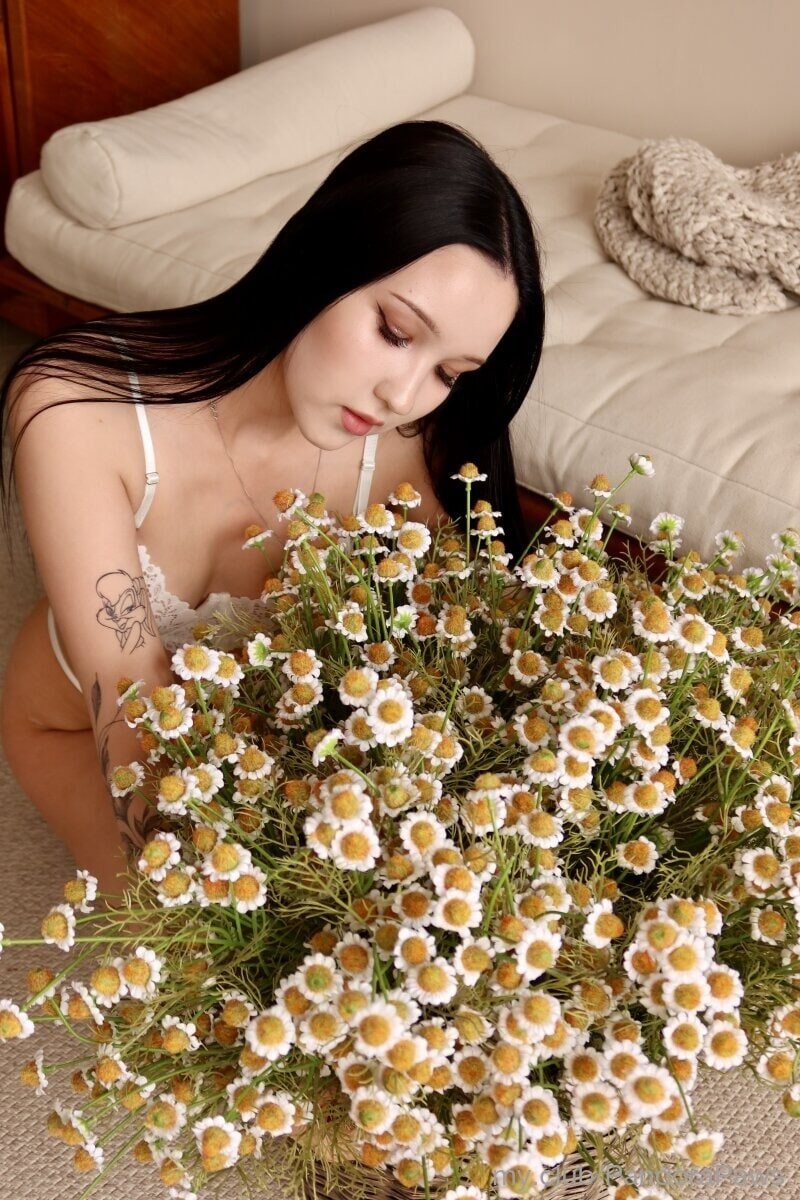 Hello! I am Pandora! Free Photos #3