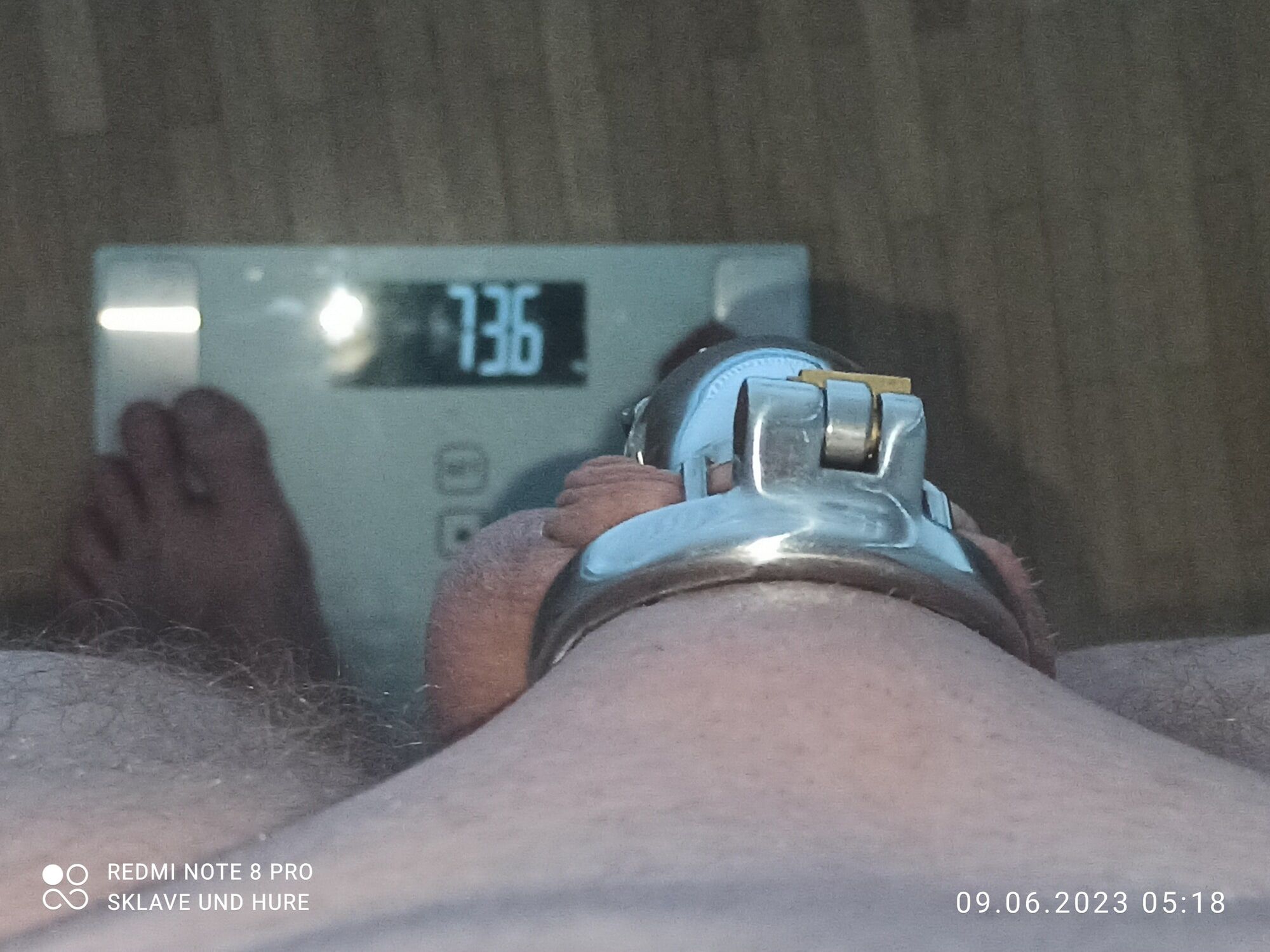 weighing, cagecheck rituals 09.06.2023 #14