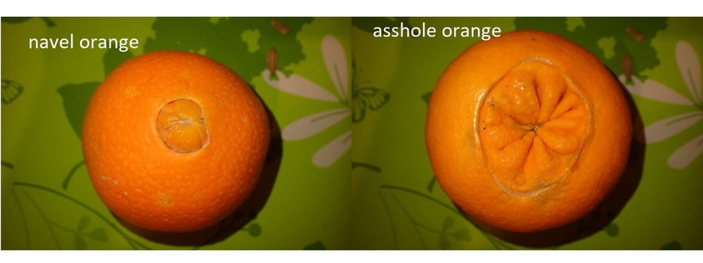 fruit