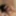 Blowjobs, face fucking and lots of cum