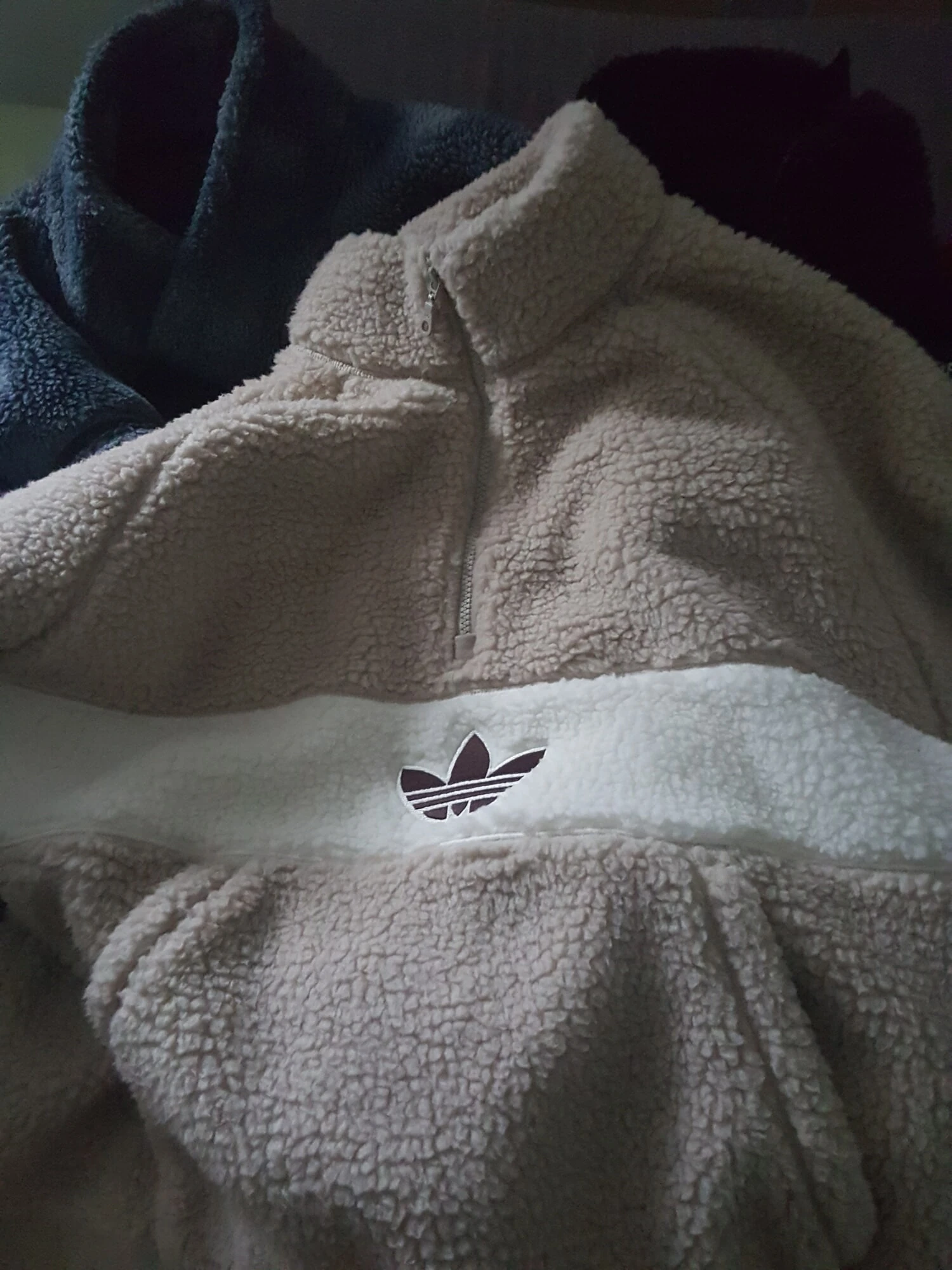 Niektóre z mojego teddyfleece