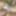 Miscellaneous 1