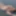 hairy bbw nudist