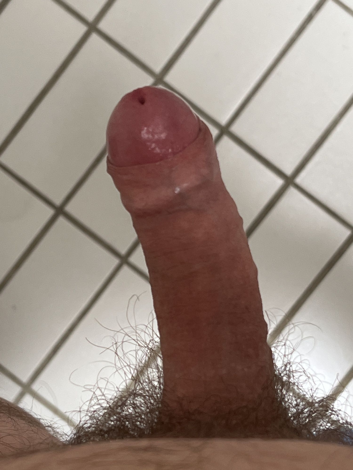 Hairy dick and balls 