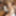 Gangbang with Maritta, Margarita &amp; Uschi &amp; 47 guys - part 1