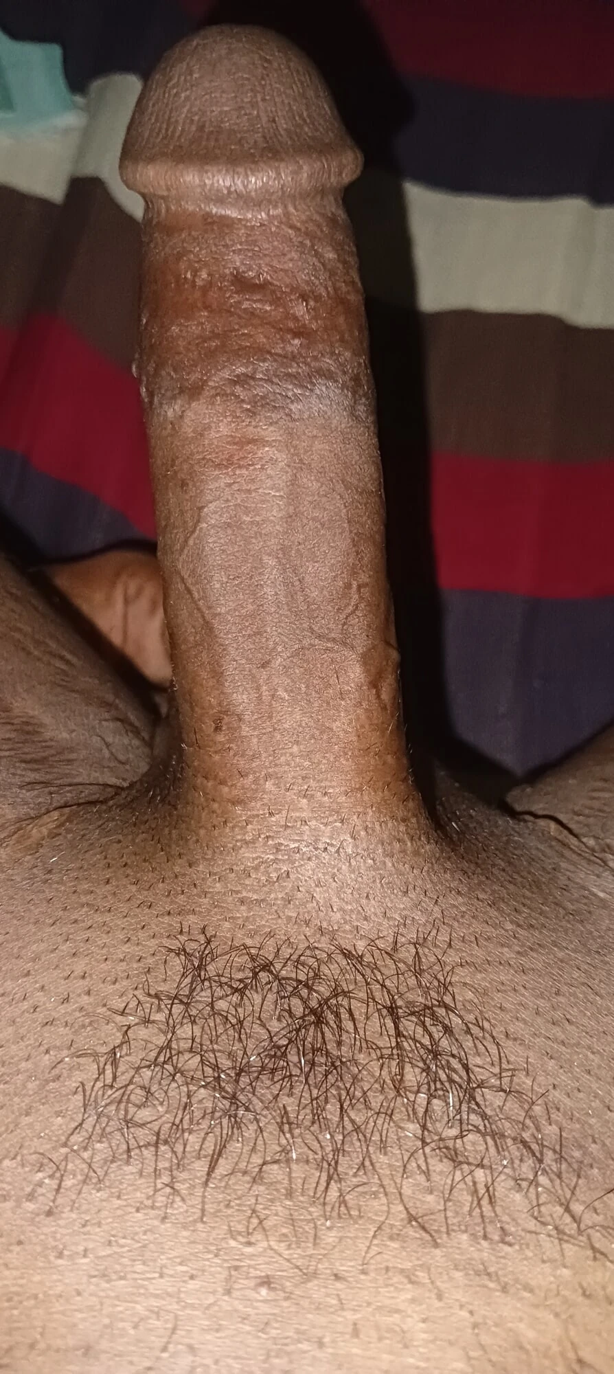 Desi lundd #6