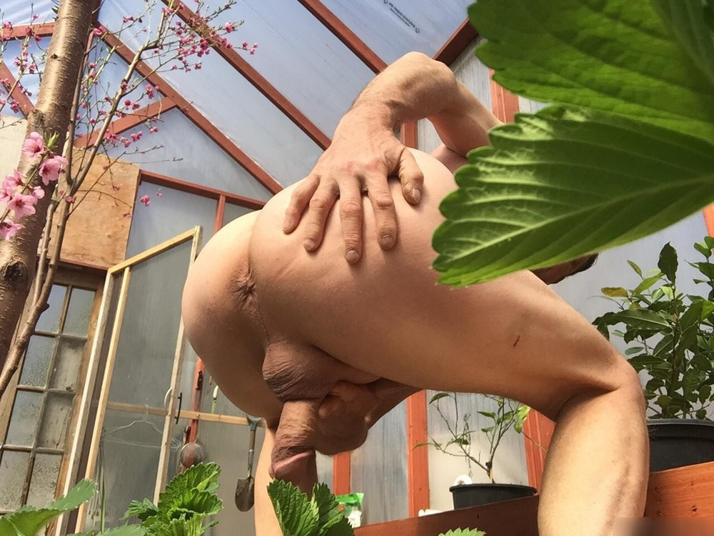 Outdoor fan activities  #8