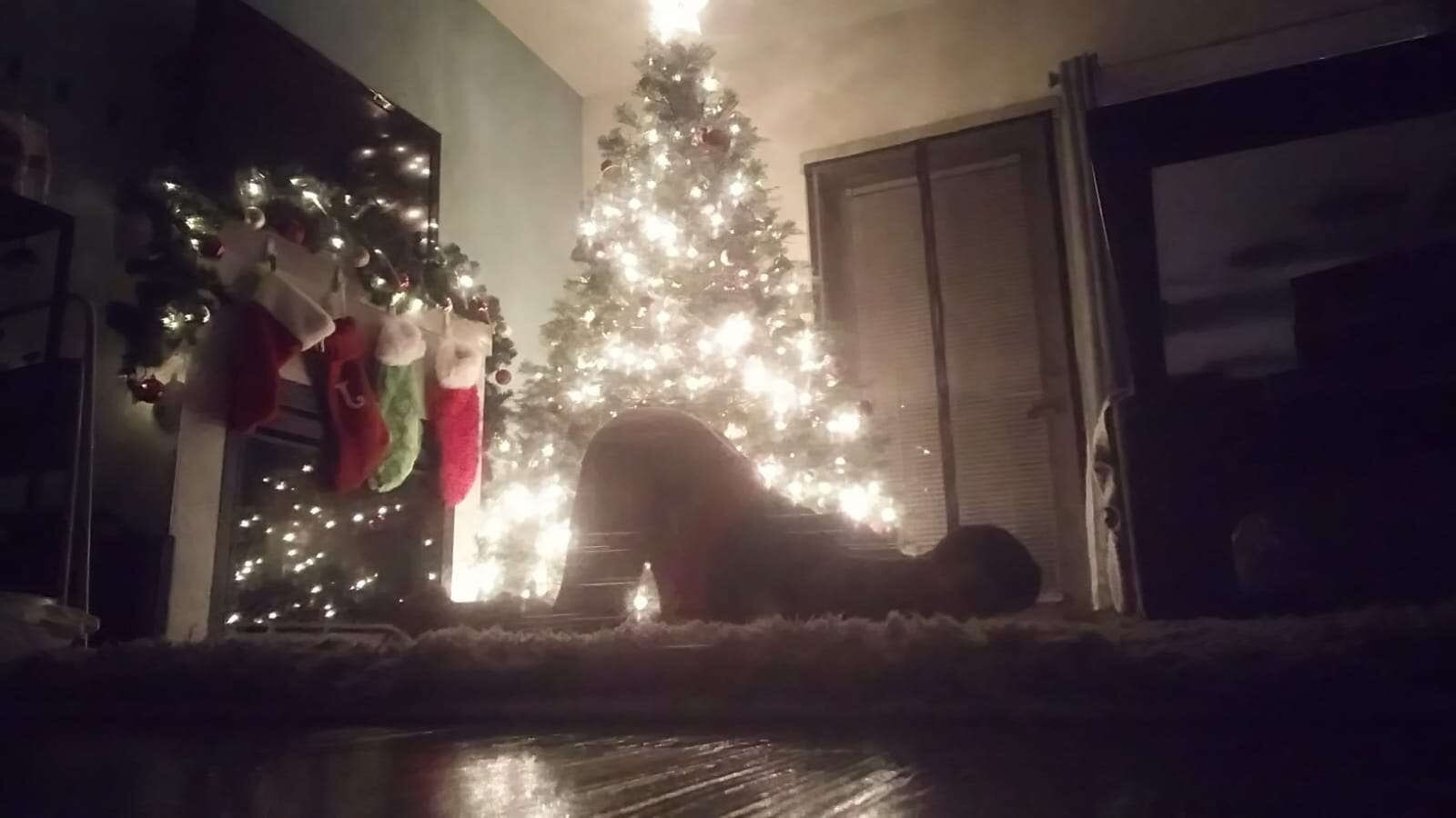 Curvy Bubble Butt #7