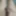 My dick cock pennis 