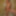 Kinky beauty masturbates in the shower for me #28
