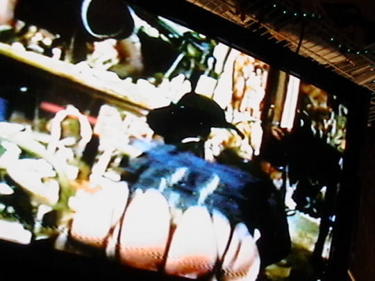 What I Am Into Doing...!  (My Very First Cock...) 9