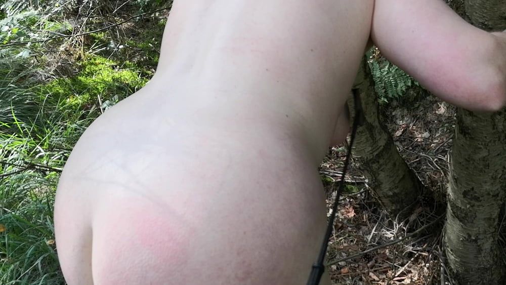 Naked Tits and Ass whipping in woods #19