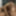 SEXUAL FANTASIES - SHARING DILDO AS A COUPLE BISEXUAL 2 #3