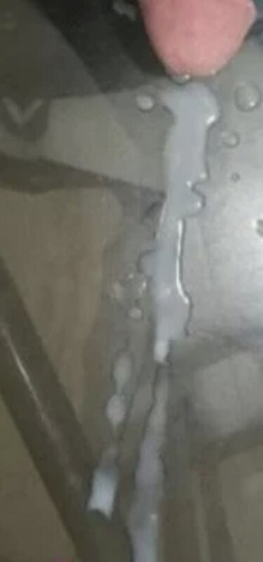  PAU DURO E CUECA SUJA  DE PORRA #12