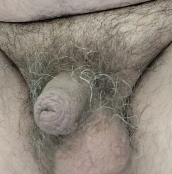 small and useless cock for whoever wants #5