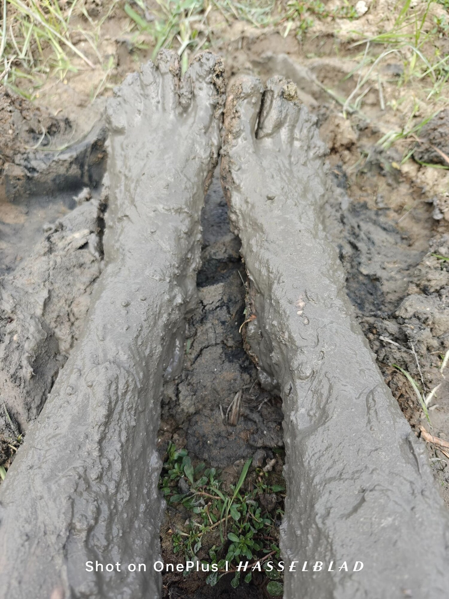 Muddy Feet and Solo #17
