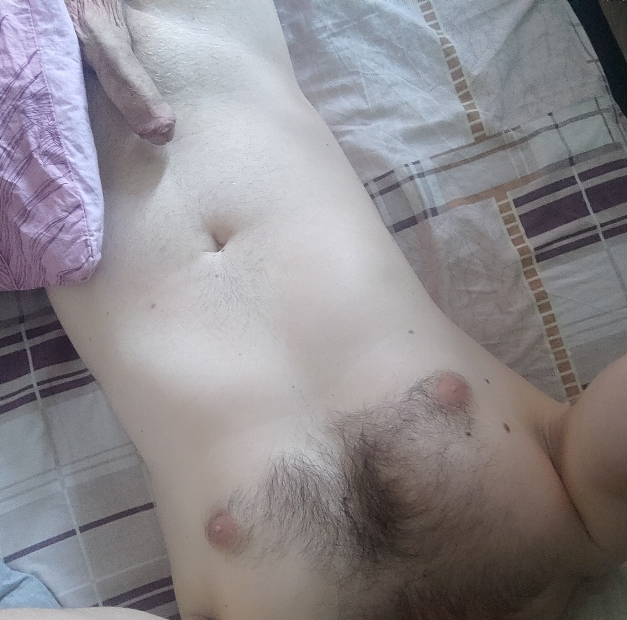 Dick Gallery  #5