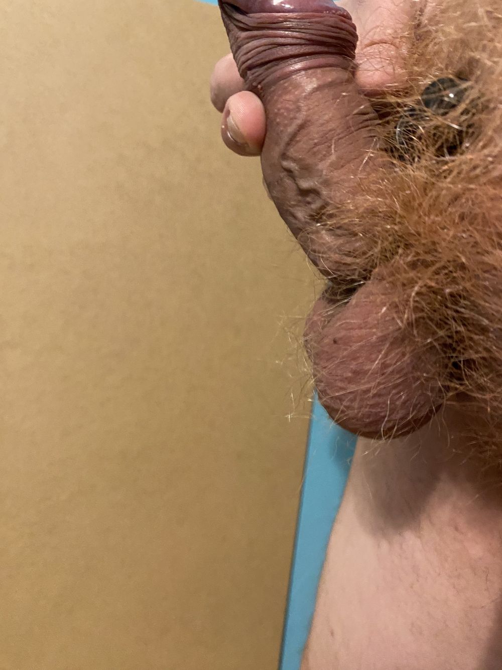 Ginger pubes 2.0 #14